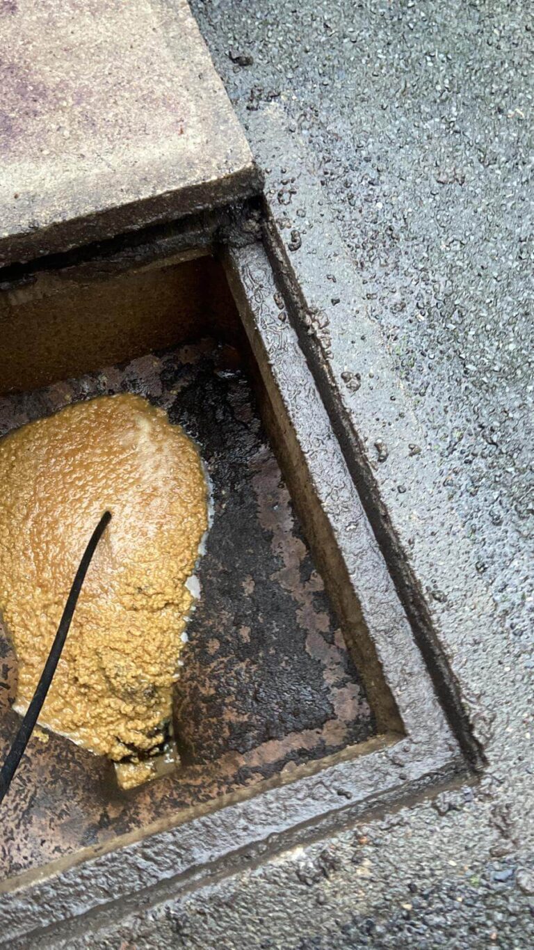 Domestic Drain Blocked